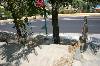  - The retaining wall remains from above as seen from old Arditou street behind the new avenue. 